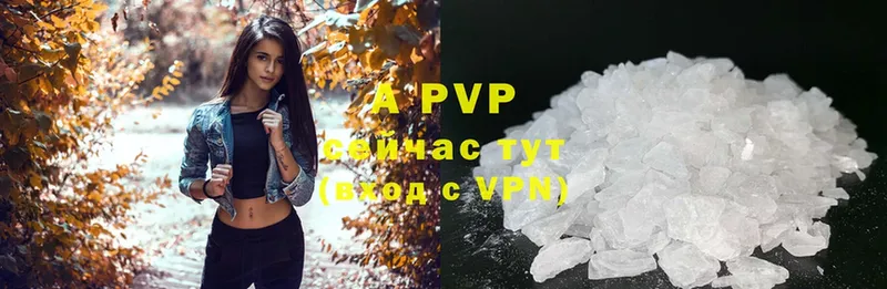 закладки  Камбарка  APVP СК КРИС 