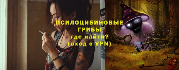 прущий лед Надым