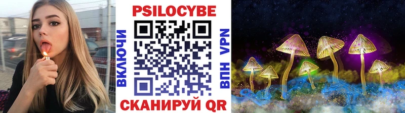 Галлюциногенные грибы GOLDEN TEACHER  где купить наркотик  Камбарка 